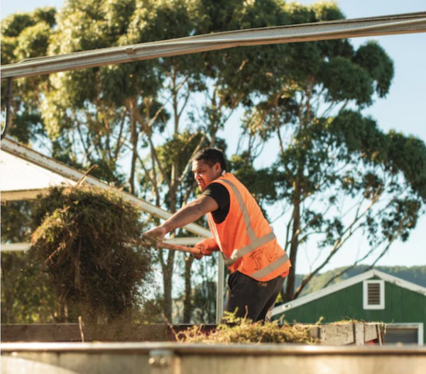 From Nature to Bottle: The Journey of Manuka Oil Production