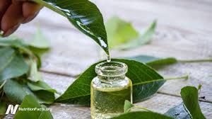 Manuka Oil vs. Tea Tree Oil: Which is Better for Skin Conditions?